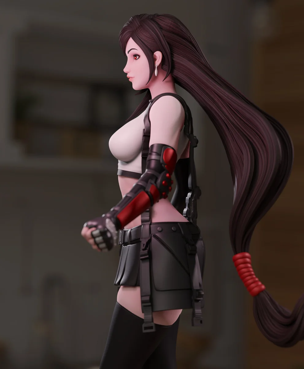 Tifa | Fan Art | 3D Printed Resin Model Garage Kit | *Un-Painted* | Momoji 2