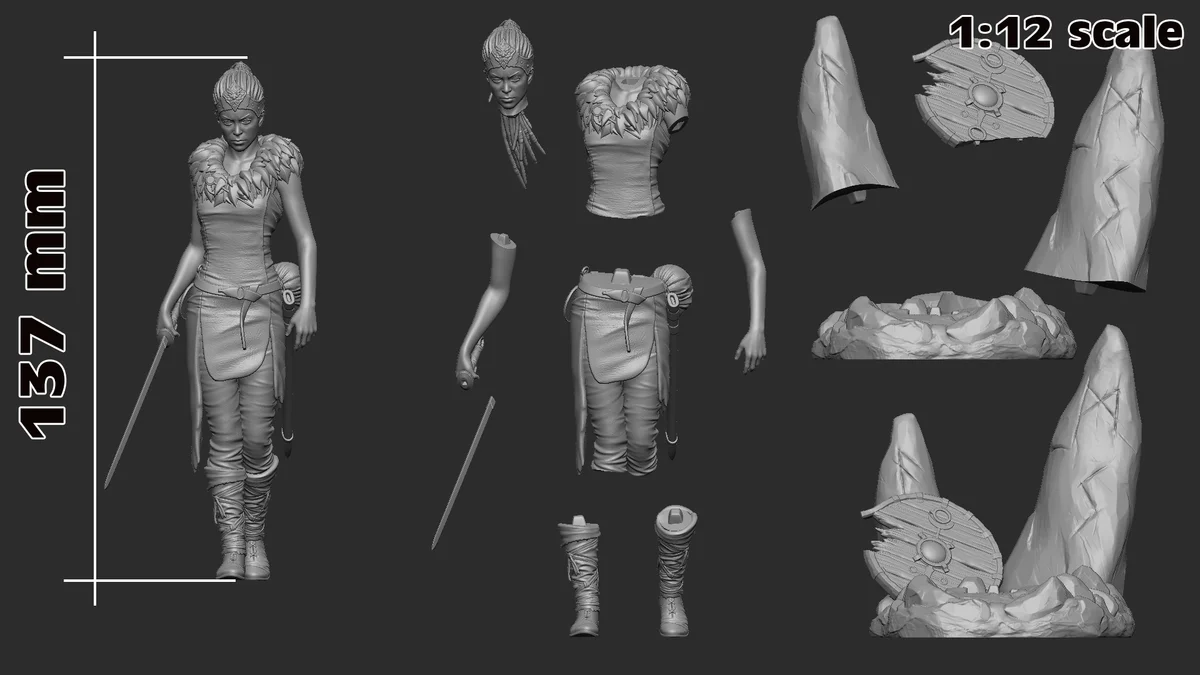 Senua | Fan Art | 3D Printed Resin Model Garage Kit | *Un-Painted* | H3LL Creator 4